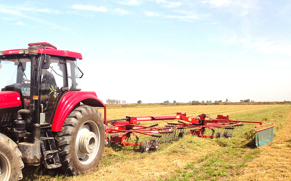 標題：9LSQ-5.3型多功能水平旋轉(zhuǎn)摟草機
瀏覽次數(shù)：44
發(fā)表時間：2023-12-12