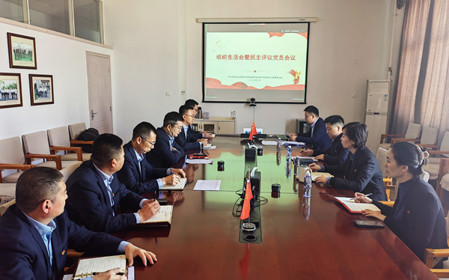 標(biāo)題：銷售黨支部召開組織生活會(huì)暨民主評議黨員會(huì)議
瀏覽次數(shù)：984
發(fā)表時(shí)間：2025-02-26